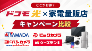ドコモ光 家電量販店